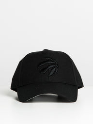 47 RAPTORS MVP TONAL CAP